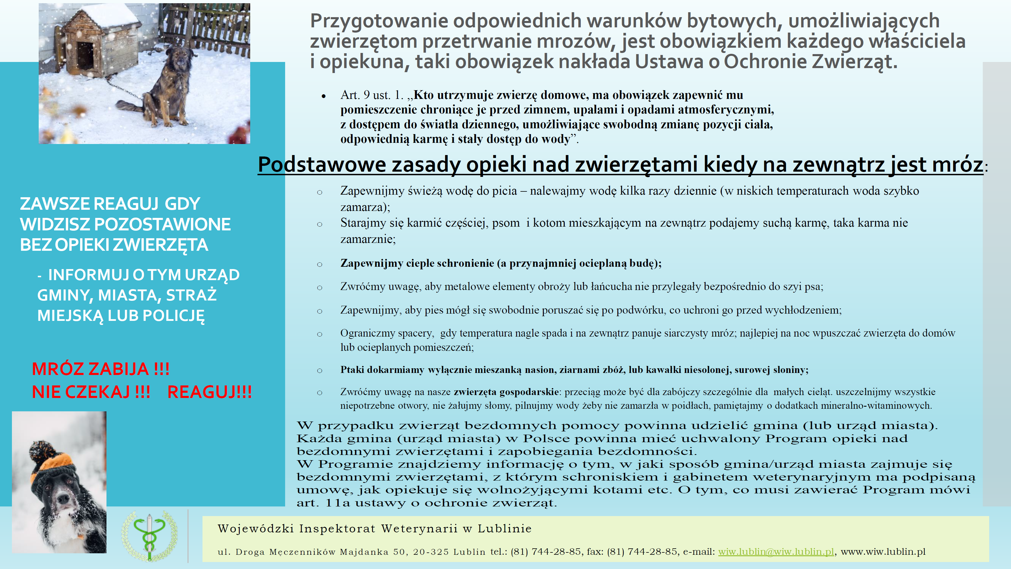 Ulotka opieka nad zwierzetami w zimie