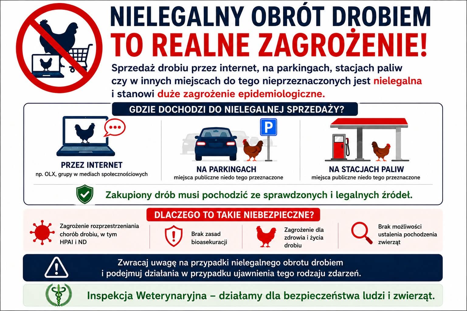 Nielegalny obrót drobiem