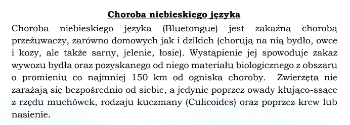 zajawka ulotki