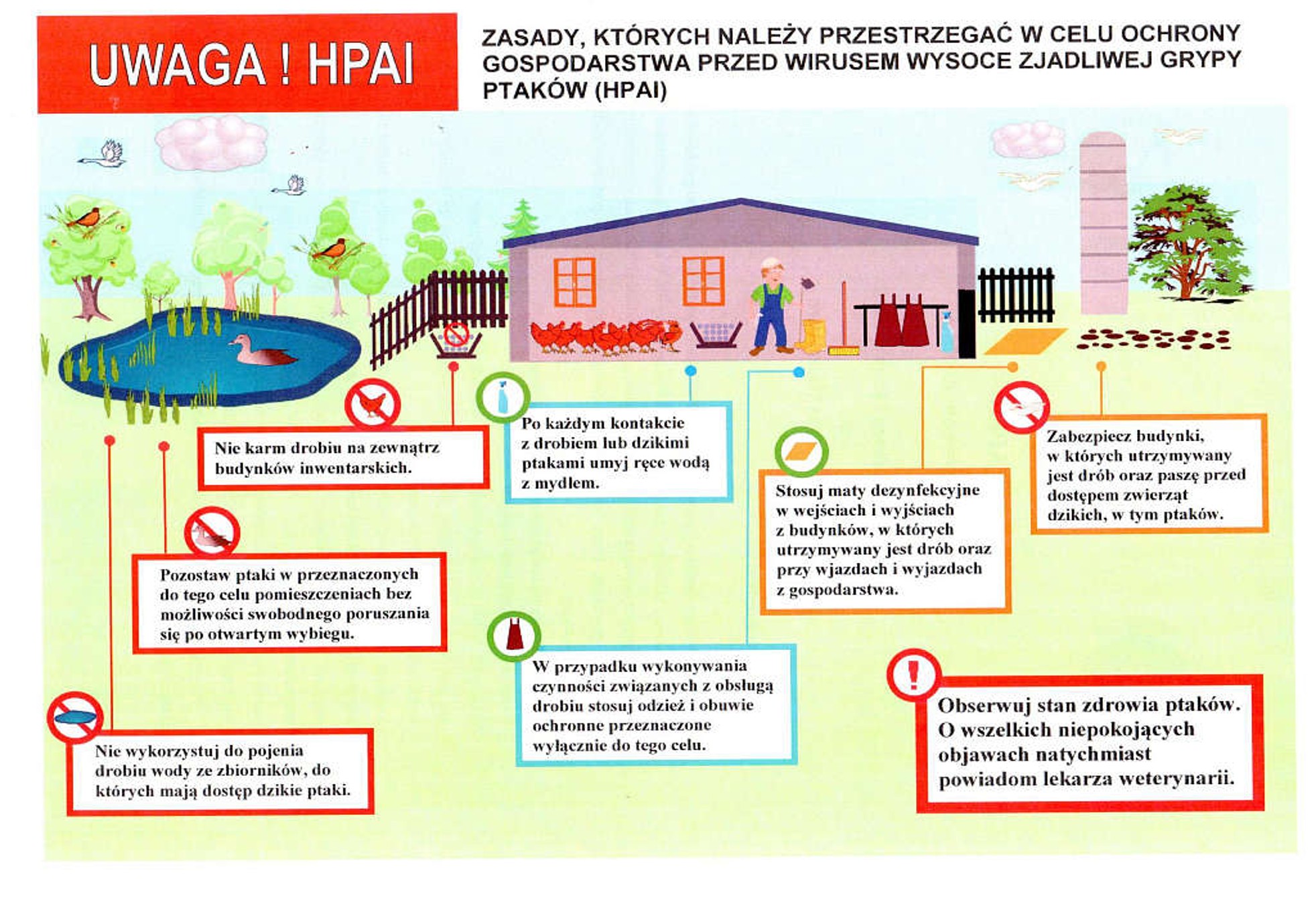Ulotka HPAI